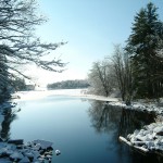 LIVING Mindfulness Program with The Life Coach Dr., Marlene Shiple, Ph.D.