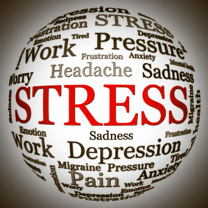 Stress and Pressure Solutions by The Life Coach Dr., Marlene Shiple, Ph.D.